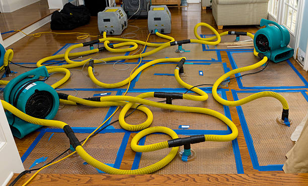 Professional Crawl Space Water Removal technician working in Huntington, UT